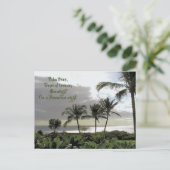 ヤシの木、熱帯風、マウイ葉書 ポストカード (スタンド正面)