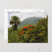 ヤシの木、華やかな木、火山カリブのの峰 ポストカード (正面/裏面)