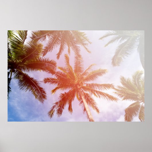 ヤシの木（陽光あり） ポスター (正面)