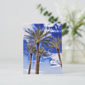 ヤシの木(高) ポストカード (スタンド正面)