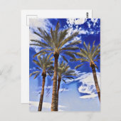 ヤシの木(高) ポストカード (正面/裏面)
