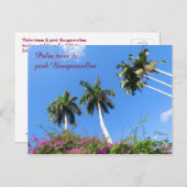 ヤシの木Bougainvilleaの茂みフロリダポストカード ポストカード (正面/裏面)