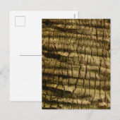 ヤシの樹皮 シーズンポストカード (正面/裏面)