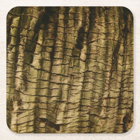ヤシの樹皮 スクエアペーパーコースター (正面)