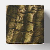 ヤシの樹皮 フェイバーボックス (上部)