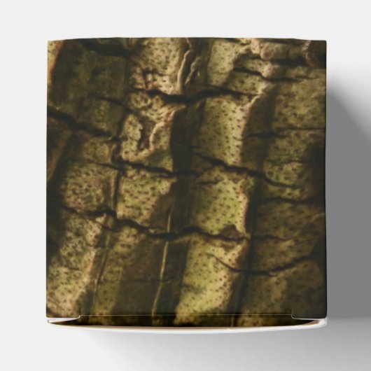 ヤシの樹皮 フェイバーボックス (上部)