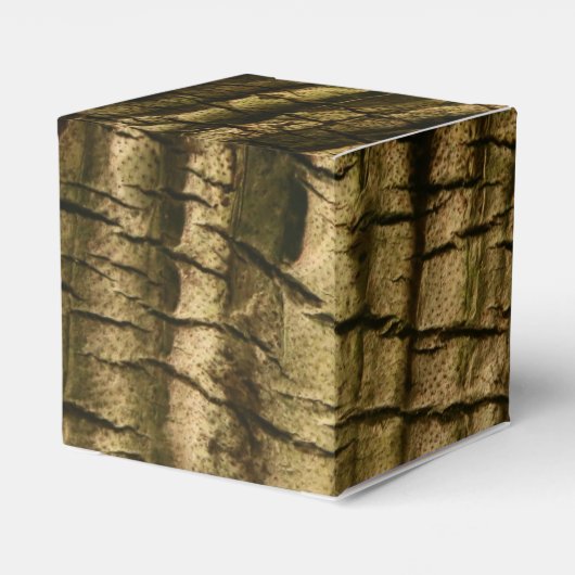 ヤシの樹皮 フェイバーボックス (裏面サイド)