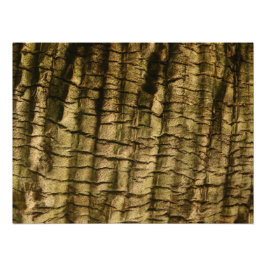 ヤシの樹皮 フォトプリント           