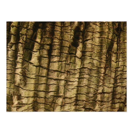 ヤシの樹皮 フォトプリント (正面)