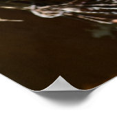 ヤシの樹皮 ポスター (角)