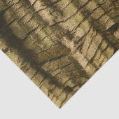 ヤシの樹皮 薄葉紙 (詳細)