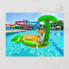 ヤシの浮き輪に乗る柴犬 ポストカード
