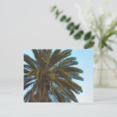 ヤシの葉書 ポストカード (スタンド正面)