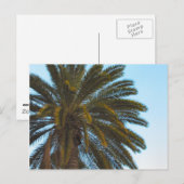 ヤシの葉書 ポストカード (正面/裏面)