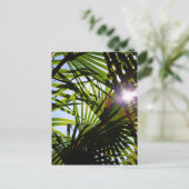 ヤシの葉 ポストカード (スタンド正面)