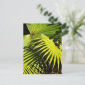 ヤシの葉 ポストカード (スタンド正面)