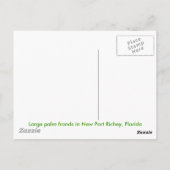 ヤシの葉 ポストカード (裏面)