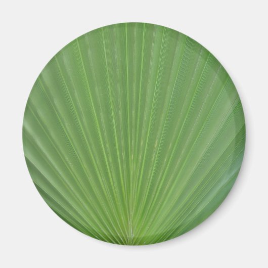 ヤシの葉 マグネット (正面)