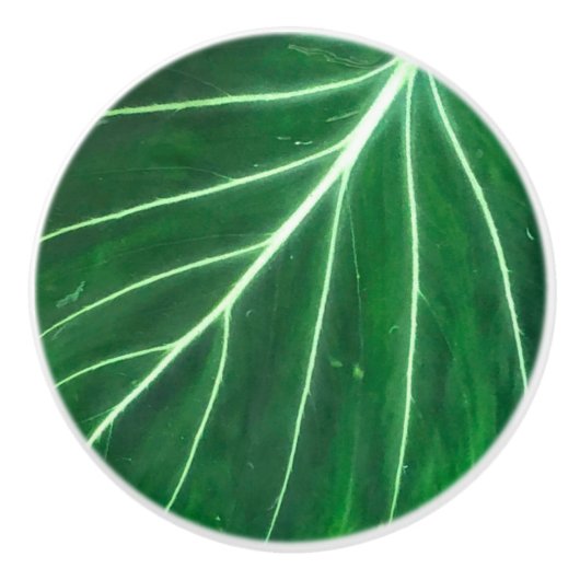 ヤシの葉、熱帯植物、ジャングル熱帯雨林 セラミックノブ (正面)