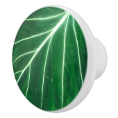 ヤシの葉、熱帯植物、ジャングル熱帯雨林 セラミックノブ (右)