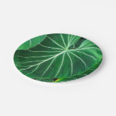 ヤシの葉、熱帯植物、ジャングル熱帯雨林 ペーパープレート (アングル)