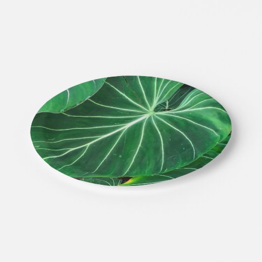 ヤシの葉、熱帯植物、ジャングル熱帯雨林 ペーパープレート (アングル)