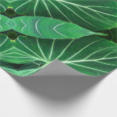 ヤシの葉、熱帯植物、ジャングル熱帯雨林 ラッピングペーパー (角)