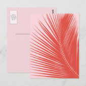 ヤシの葉 – 珊瑚と貝殻ピンク ポストカード (正面/裏面)