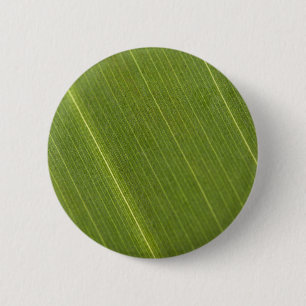 ヤシの葉 缶バッジ