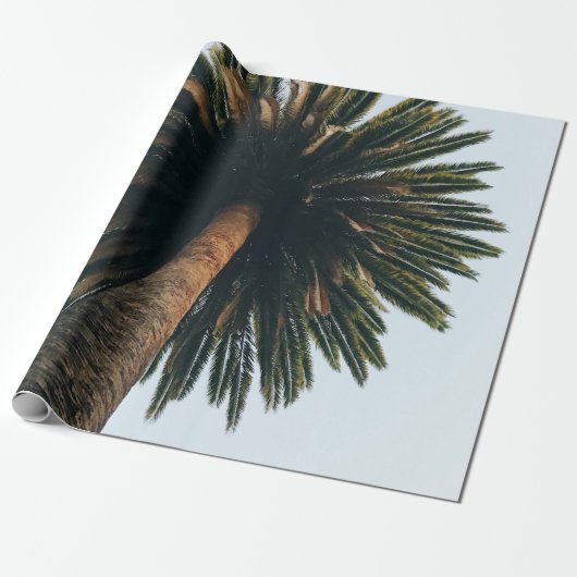 ヤシの虫眼写真 ラッピングペーパー (アンロールド)