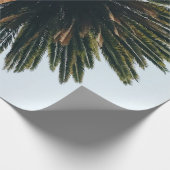 ヤシの虫眼写真 ラッピングペーパー (角)