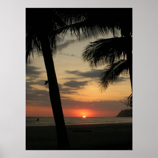 ヤシビーチ ポスター (正面)