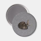 ヤシーブンコットンムスネーク マグネット (正面/裏面)