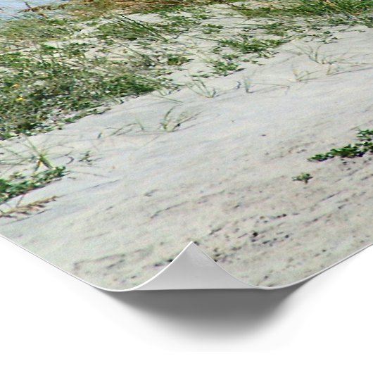 ヤシ島 ポスター (角)