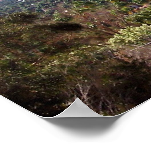 ヤシ春 ポスター (角)