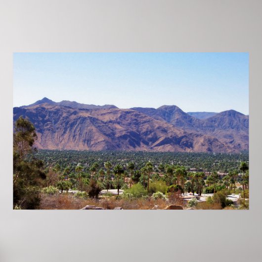 ヤシ春 ポスター (正面)