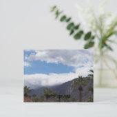 ヤシ春 ポストカード (スタンド正面)