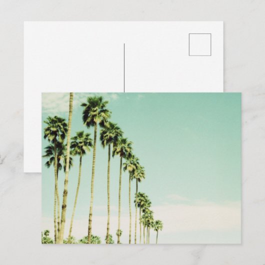 ヤシ春 ポストカード (正面/裏面)