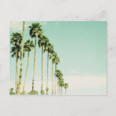 ヤシ春 ポストカード (正面)