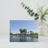 ヤシ砂漠#1 ポストカード (スタンド正面)