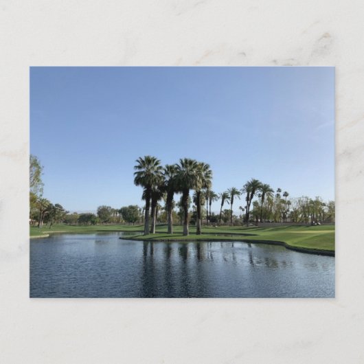 ヤシ砂漠#1 ポストカード (正面)