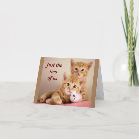 *ヤジロベーを吊るしておく* ノーズバンプもカードも使えるのよ カード (正面)