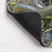 ヤスデ(americanus Narceus)のマウスパッド マウスパッド (コーナー)