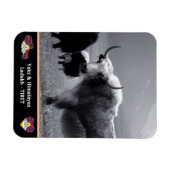 ヤックス-ヒマラヤ-チベット/ラダックトレッキング マグネット (横)