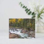 ヤック滝，秋，コオテナイナショナル ポストカード (スタンド正面)