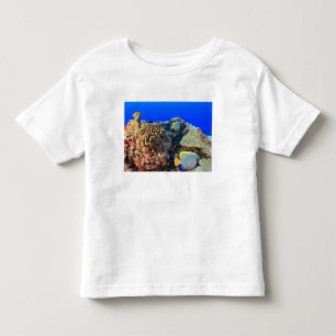 ヤッコダイ(Pygoplites diacanthus) トドラーTシャツ