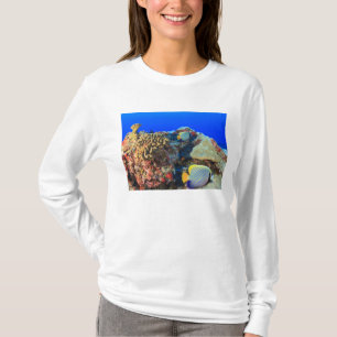 ヤッコダイ(Pygoplites diacanthus) Tシャツ