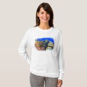 ヤッコダイ(Pygoplites diacanthus) Tシャツ (正面フル)