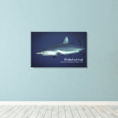 ヤップミクロネシアのグレーリーフシャーク キャンバスプリント (インサイチュ (ウッドフロア))