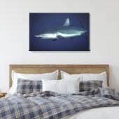 ヤップミクロネシアのグレーリーフシャーク キャンバスプリント (インサイチュ (寝室))